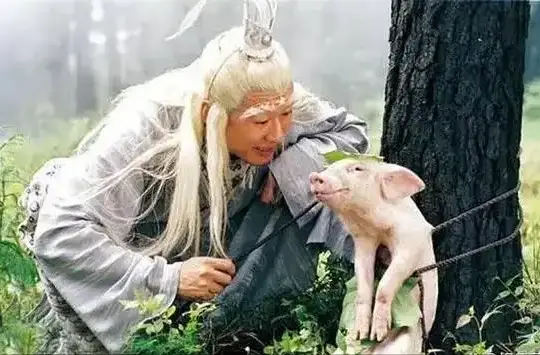 61岁孙兴官宣婚讯,与同居1月的前妻三度复合,富婆女友体面成全