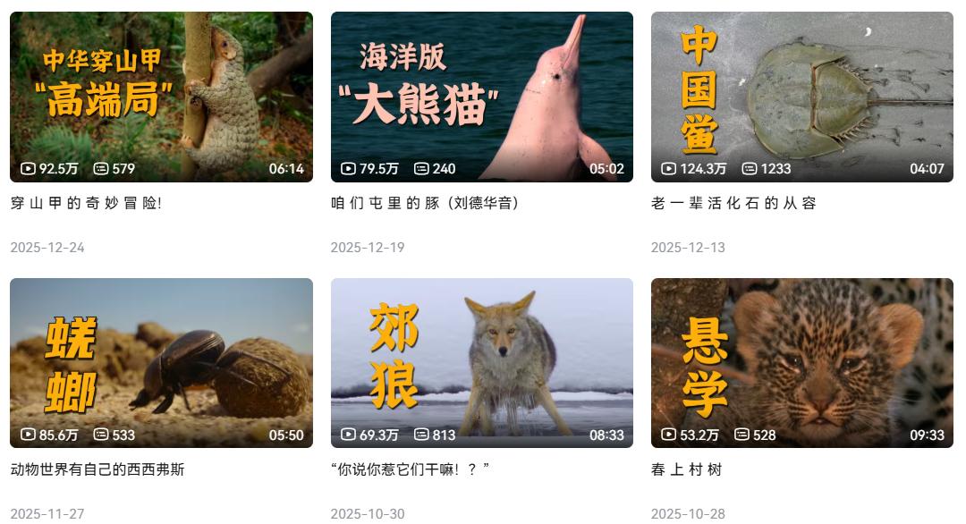 扒了扒B站百大名单，竟然还能这么选？