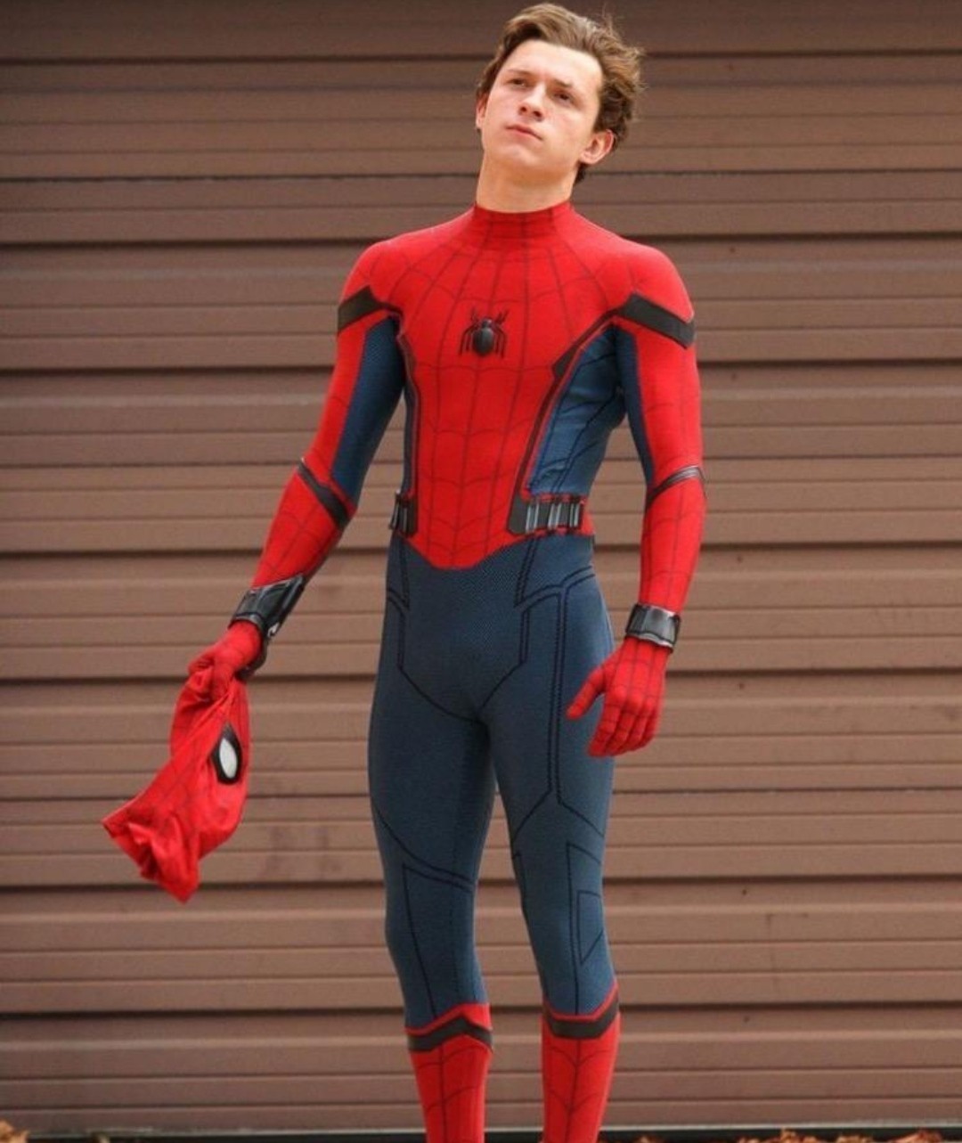 漫威蜘蛛侠3曝中文片名,英雄无归让人太紧张,网友:最后一部?