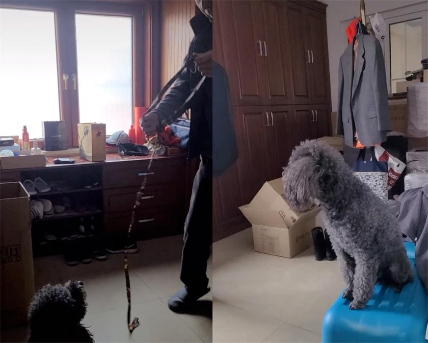 冯巩：65岁，被骂惨了