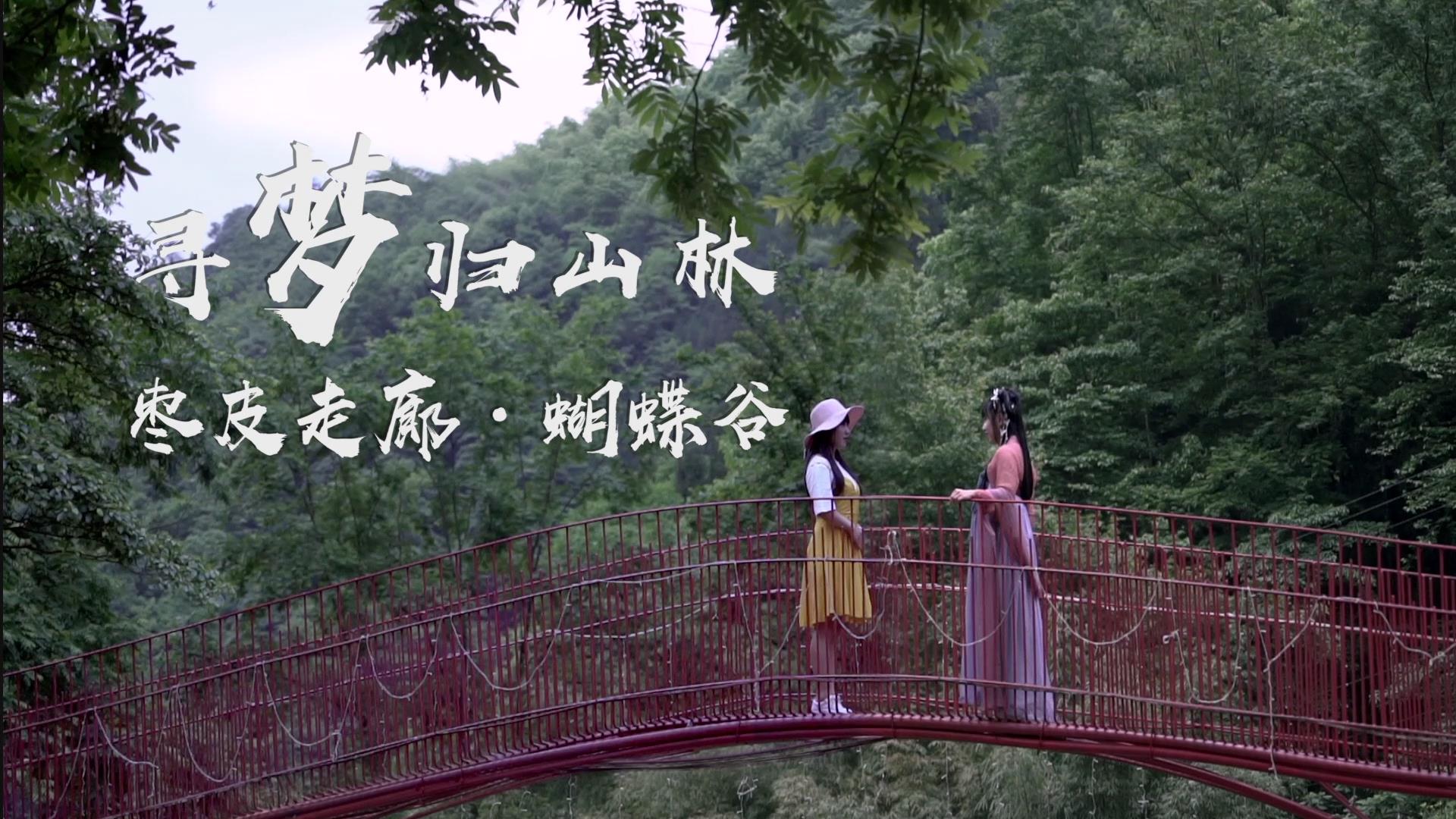 两会观察 融媒先锋 | 征集首日：人民日报党媒平台关注，上百作品涌来