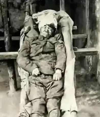 当真相成为赌注：战地记者的生死记录