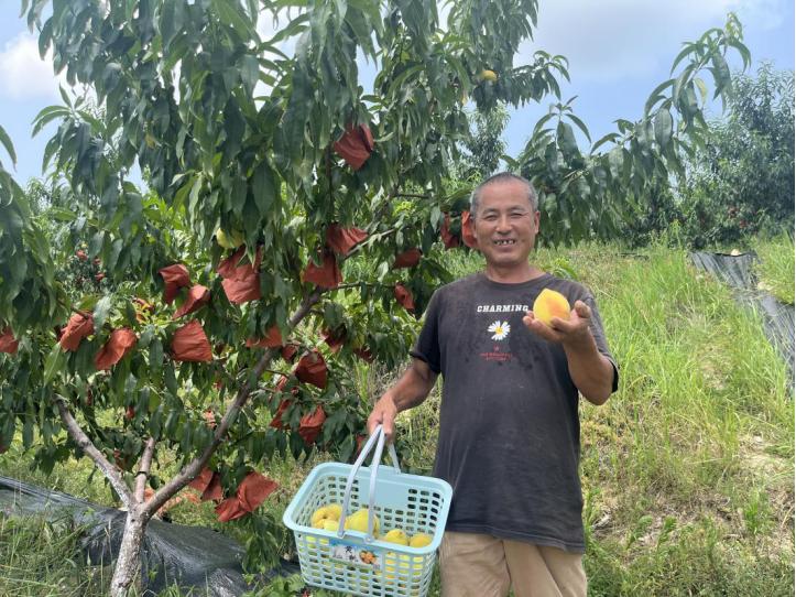 团风：两任大学生村官跨界“种桃”，带村民端稳“金饭碗”
