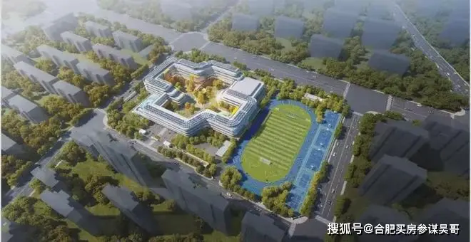 合肥26年1月最新教育与学校发展成就大事记：新建多所中小学高中