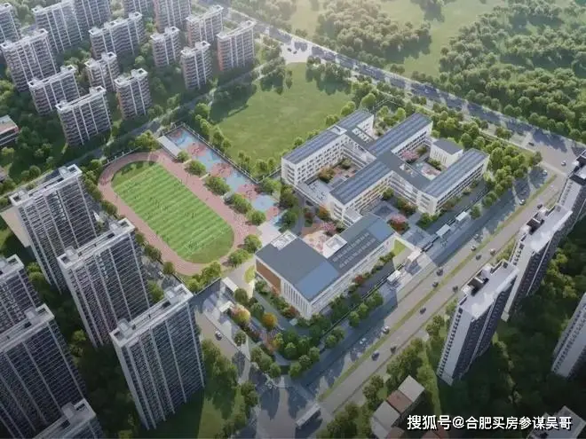 合肥26年1月最新教育与学校发展成就大事记：新建多所中小学高中