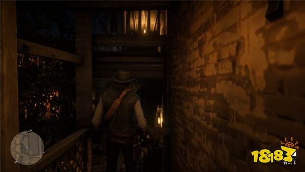 荒野大镖客2北美野植系列香烟卡收集攻略分享 荒野大镖客2北美野植香烟卡位置一览