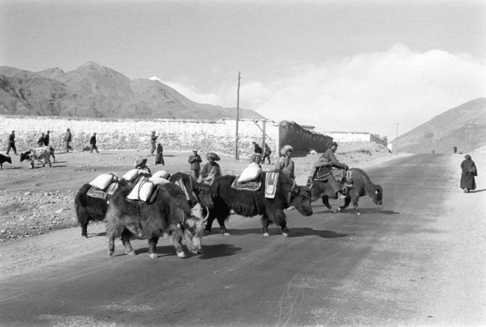 致敬60年！影像记录西藏自治区发展变化