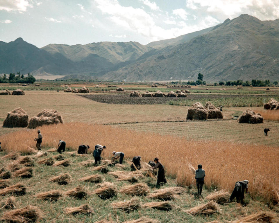 致敬60年！影像记录西藏自治区发展变化