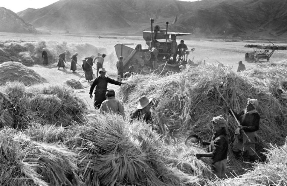 致敬60年！影像记录西藏自治区发展变化