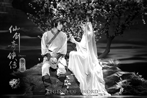 《仙剑》在宁波演出临时加演 疯狂粉丝能一字不漏背台词