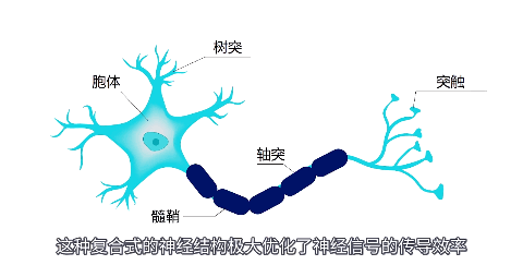 从1纳秒到2天：你的系统延迟“合理”吗？