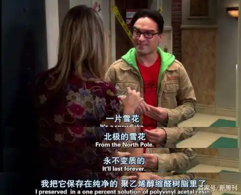 《生活大爆炸》12年:成年人最后的童话结束了