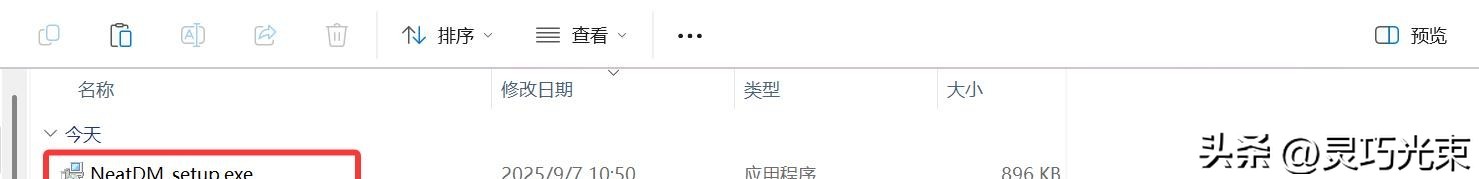 好用的下载工具：NDM 下载器
