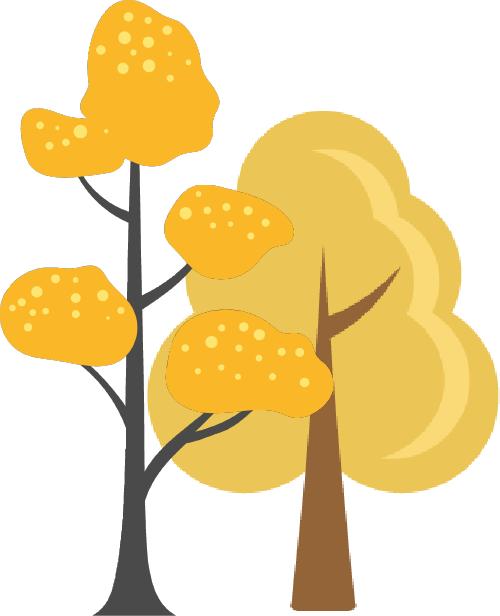 手把手教你做教科研】一文搞定：开题、中期、结题报告的写作指南