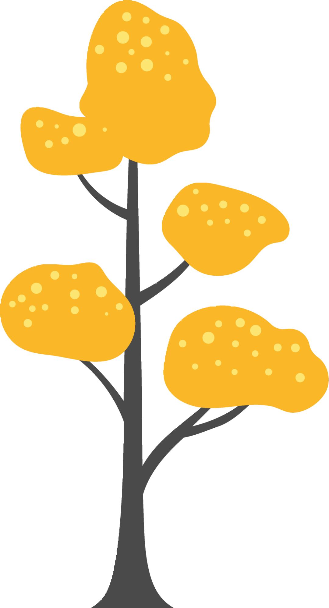 手把手教你做教科研】一文搞定：开题、中期、结题报告的写作指南