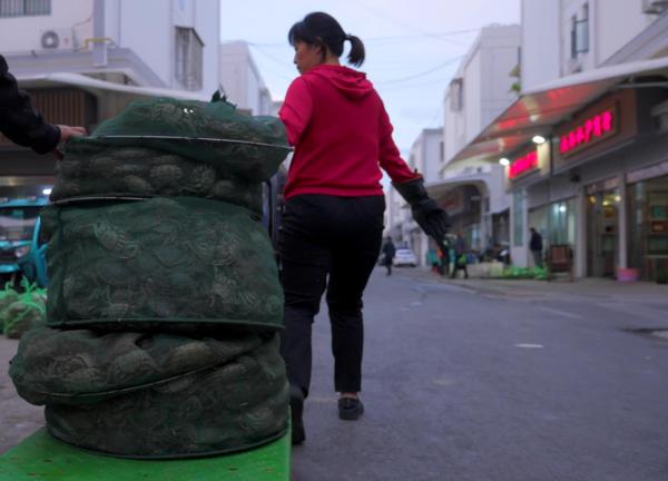 外国人眼里这十年③ | 江苏洪泽湖渔民：上岸置家，创业转型