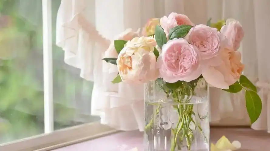 喜欢一个女孩不敢表白？3个方法破解你的情感困境