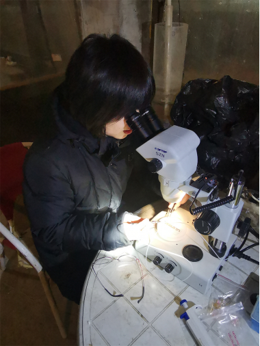 节气探农事|立夏前后鲟鱼的养殖宝典