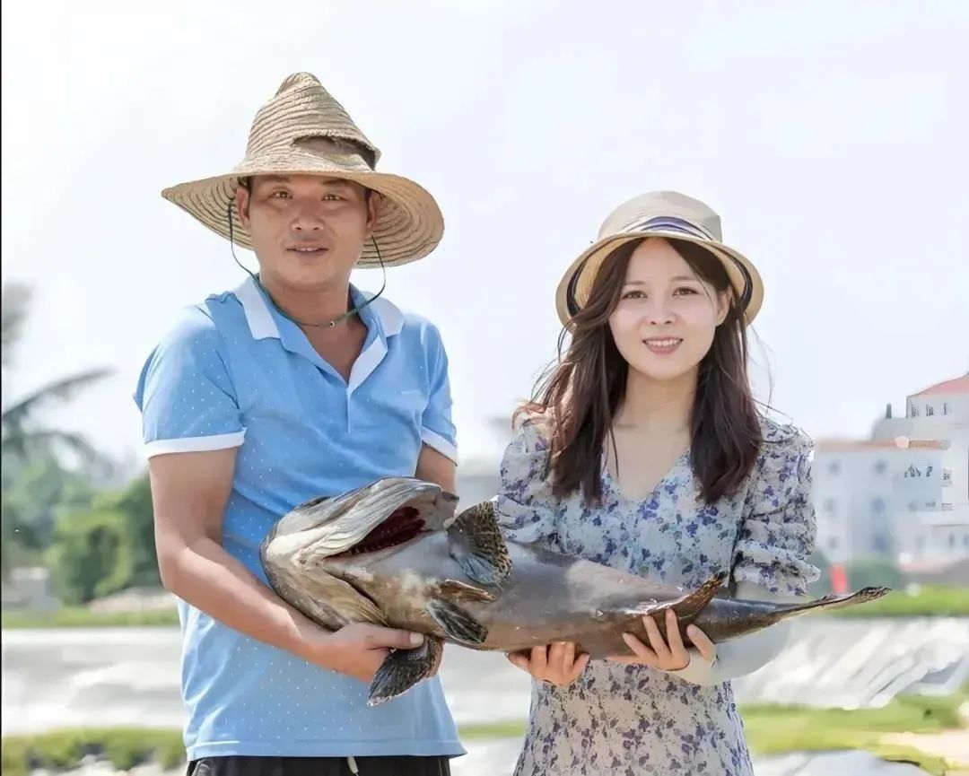 连续4天,吴川地道美食、飘色巡游……即将空降白云