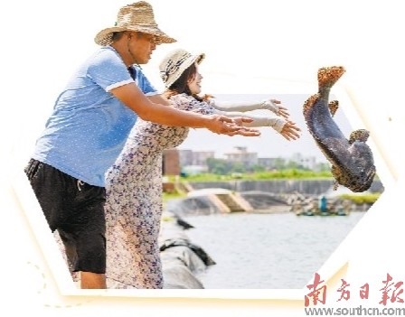 转发到头条