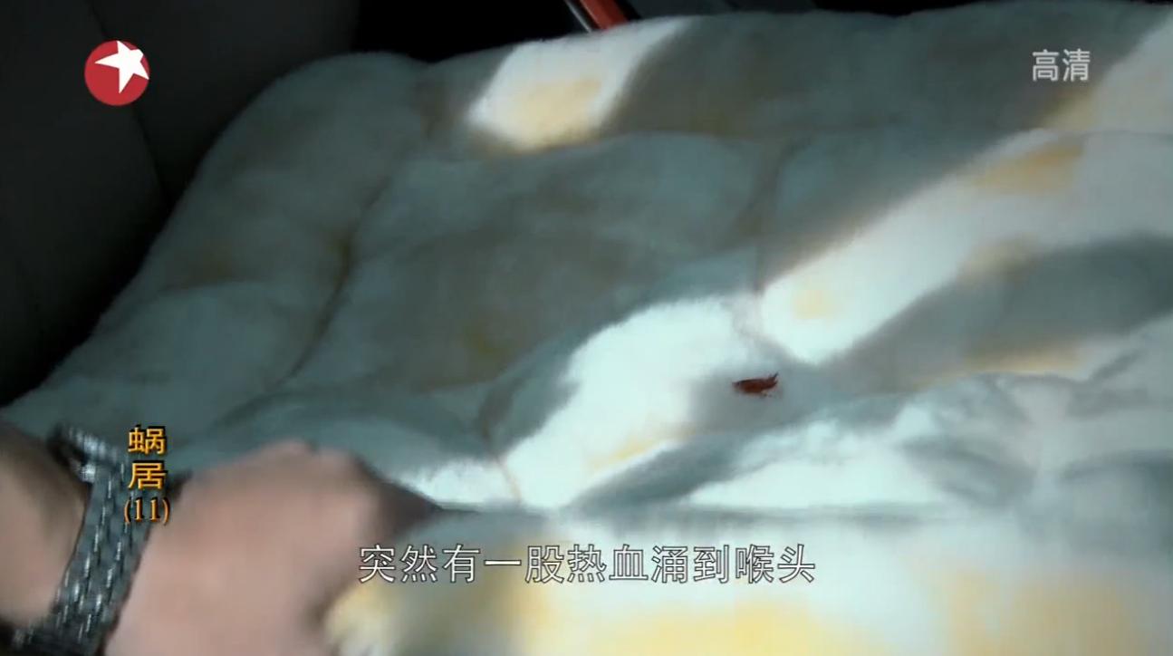 海藻永远不知,不近女色的宋思明,为什么大方给她500万?