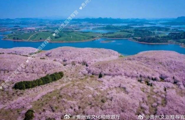 年全国两会十大热词结果出炉