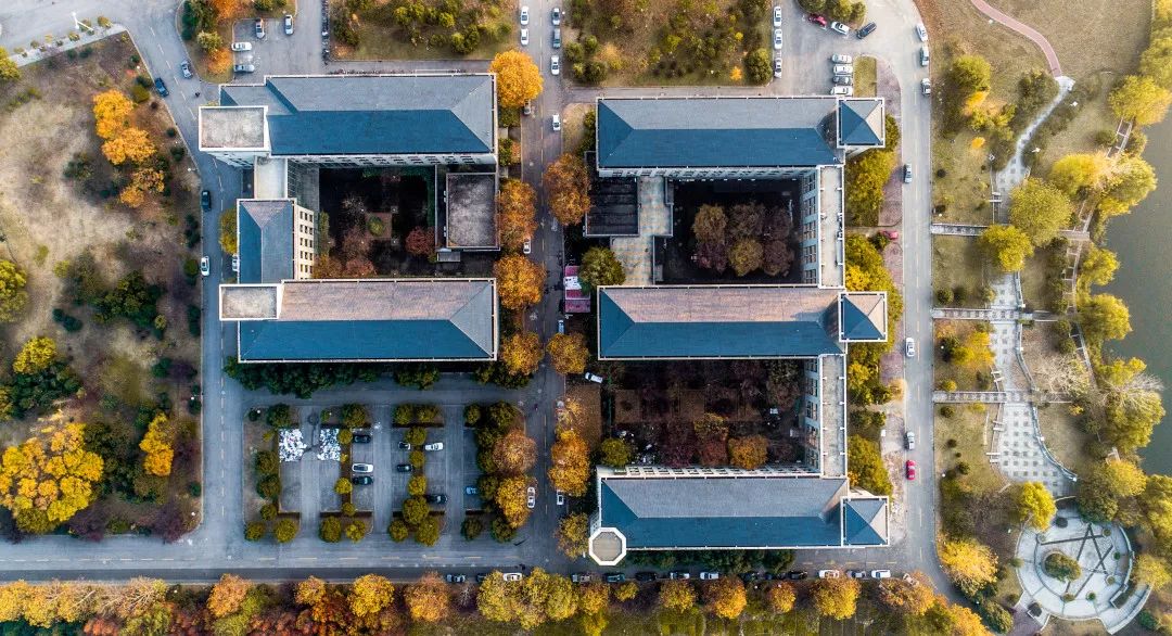 关注！东南大学调整本科毕业设计工作安排！