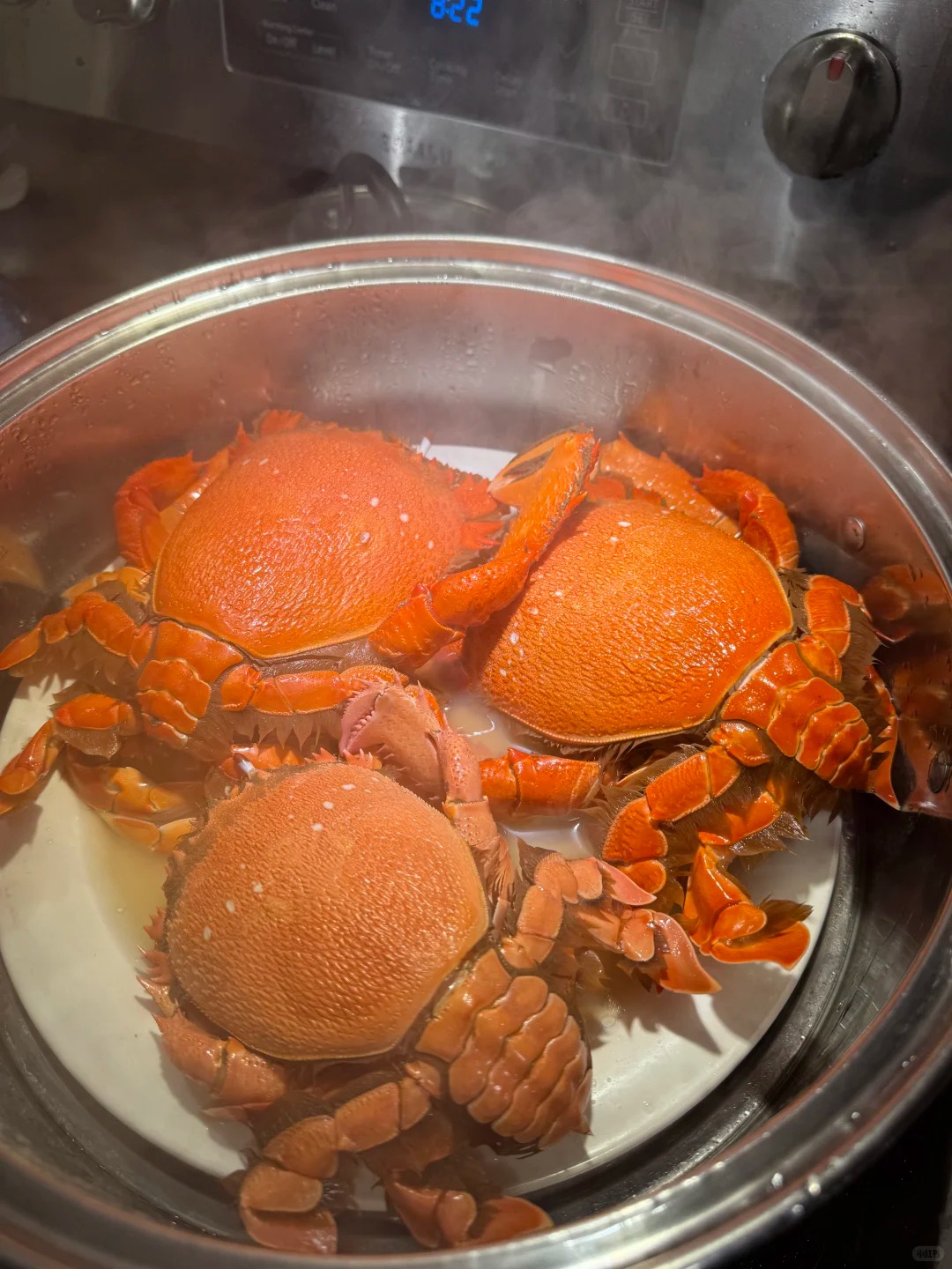 海南最有名的蟹是什么?海南十大名蟹,你认为哪种蟹最好吃?