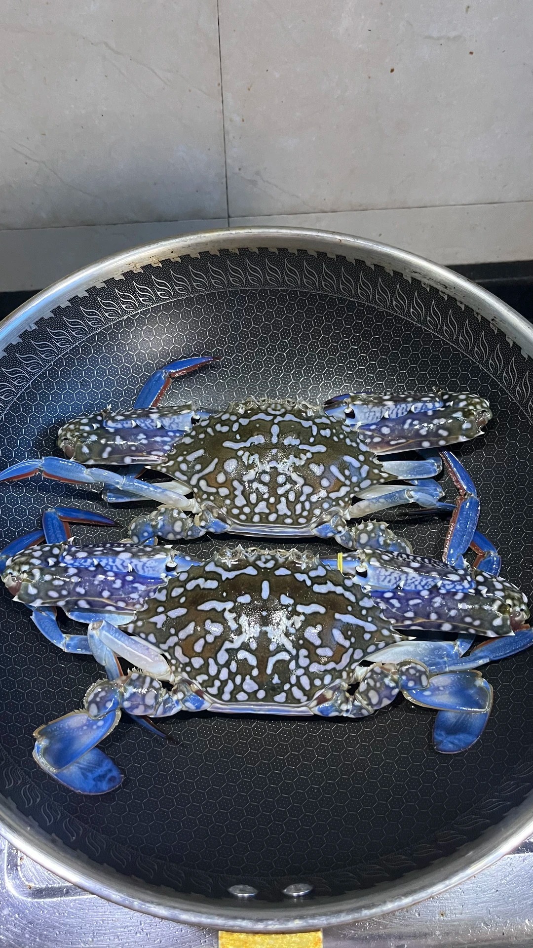 海南最有名的蟹是什么?海南十大名蟹,你认为哪种蟹最好吃?