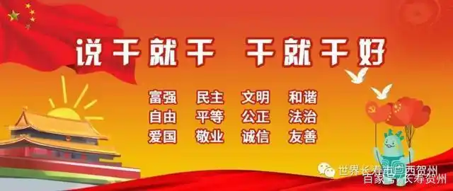 年底“碰瓷党”在贺州出招了,大宝教你如何一招制敌!