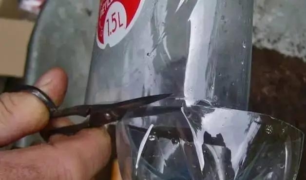 3步塑料瓶种瓜技巧,新手也能种西葫芦,一茬接一茬