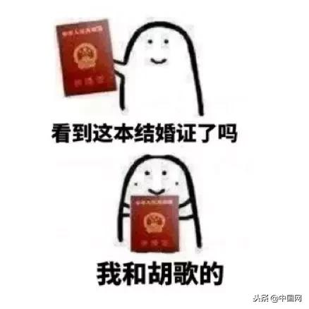 改革开放40年,这些常用词居然是“移民”,你发现了吗?