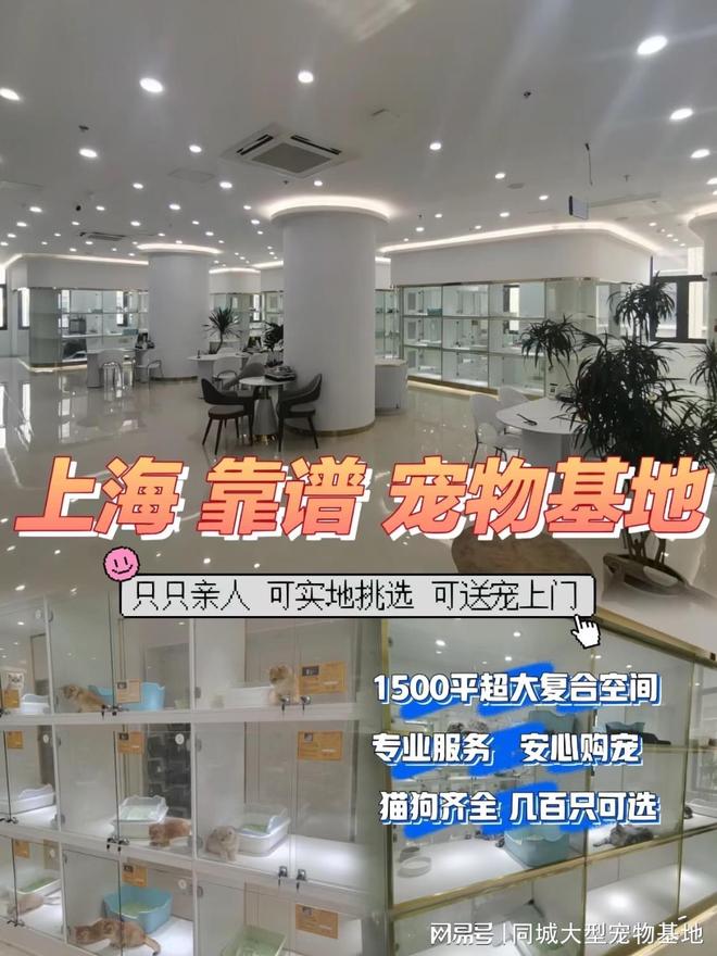 上海买宠物猫狗在哪里买比较好，这家实体老店买的放心有安全保障
