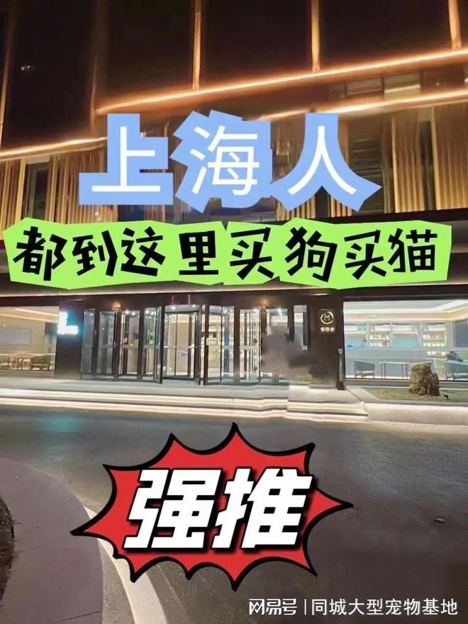 上海买宠物猫狗哪里比较安全，这家实体老店买的放心，有安全保障