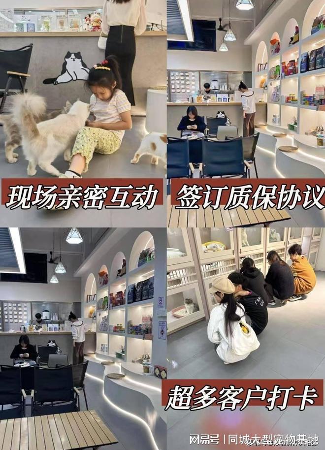上海买宠物猫狗哪里比较安全，这家实体老店买的放心，有安全保障