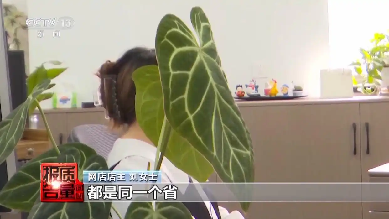 “买家秀”可能是伪造的!央视曝光网络水军骗局