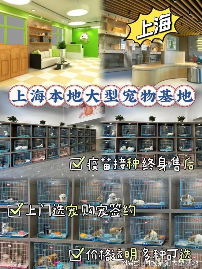 上海安全买宠物途径，这家宠物店支持任何第三方检测