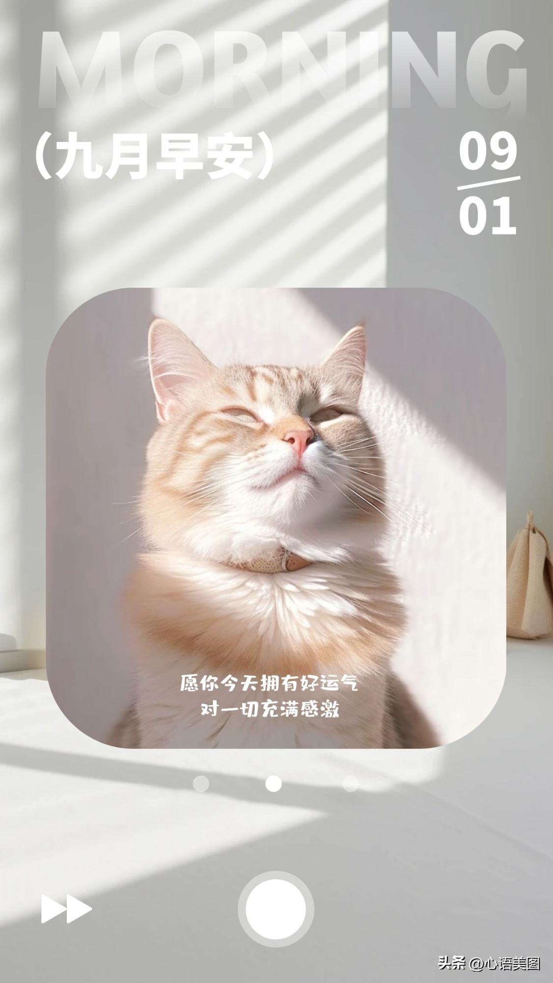 9月你好海报图片文案大全,适合九月第一天发朋友圈的句子文案