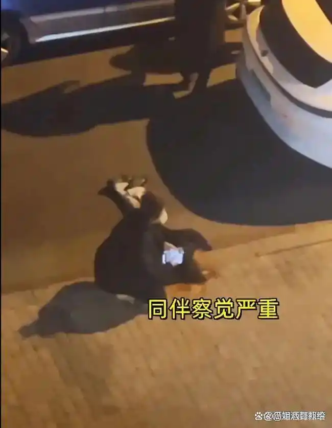 山东街头暴力视频疯传!男子一拳砸中女子面门,倒地僵直引死亡