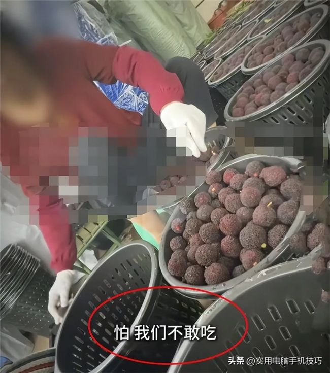 当水果都是“科技与狠活”，我们能做什么?——为守护儿童肠胃健康，补钙也要“素颜”才安心！