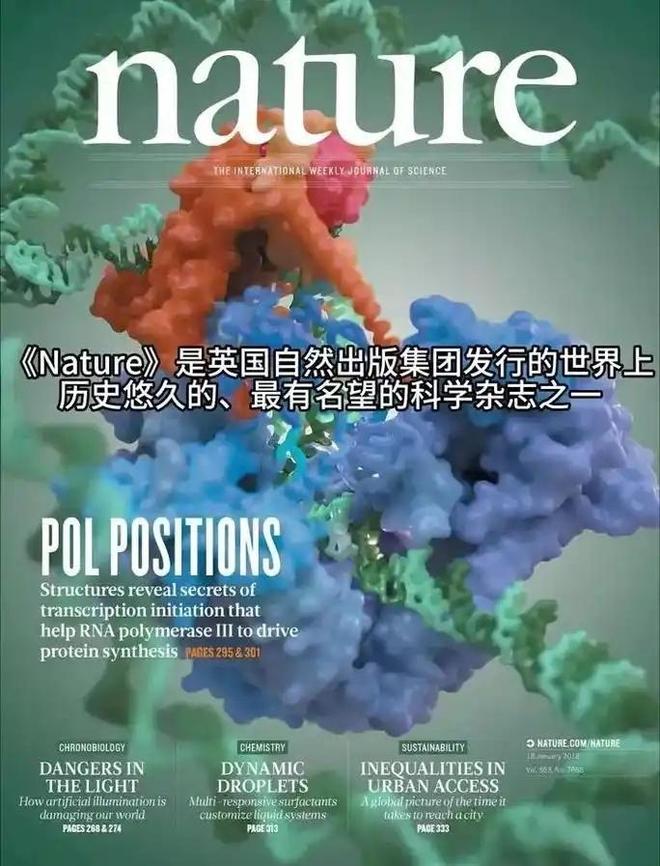停止一切拨款！中科院正式向全世界宣布终止，西方学界已哀嚎一片