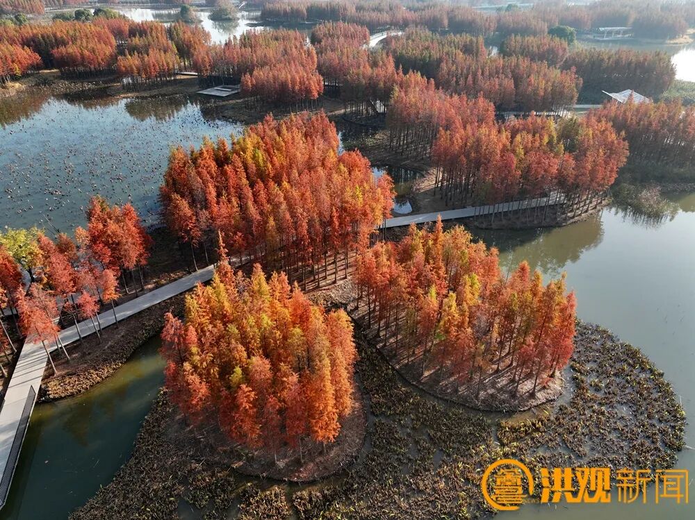 2025，洪城新脉动丨文明新底色：碧水蓝天彰显绿色生态魅力