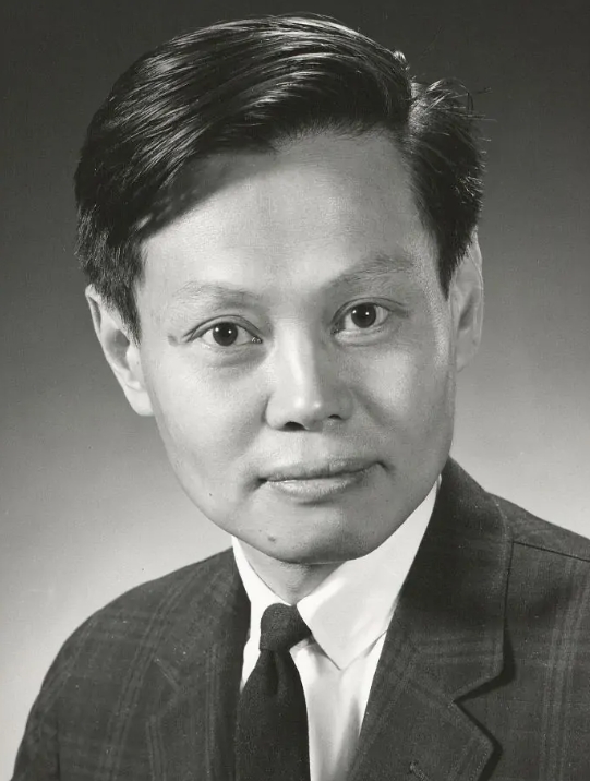 1973年杨振宁接受采访，记者：您曾说毛主席物理造诣高？杨：不是