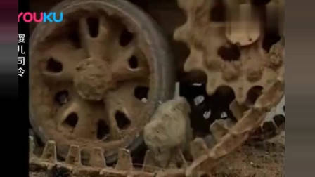 碰瓷党遇上女司机,别以为不敢撞你,男子当场被活活撞飞!