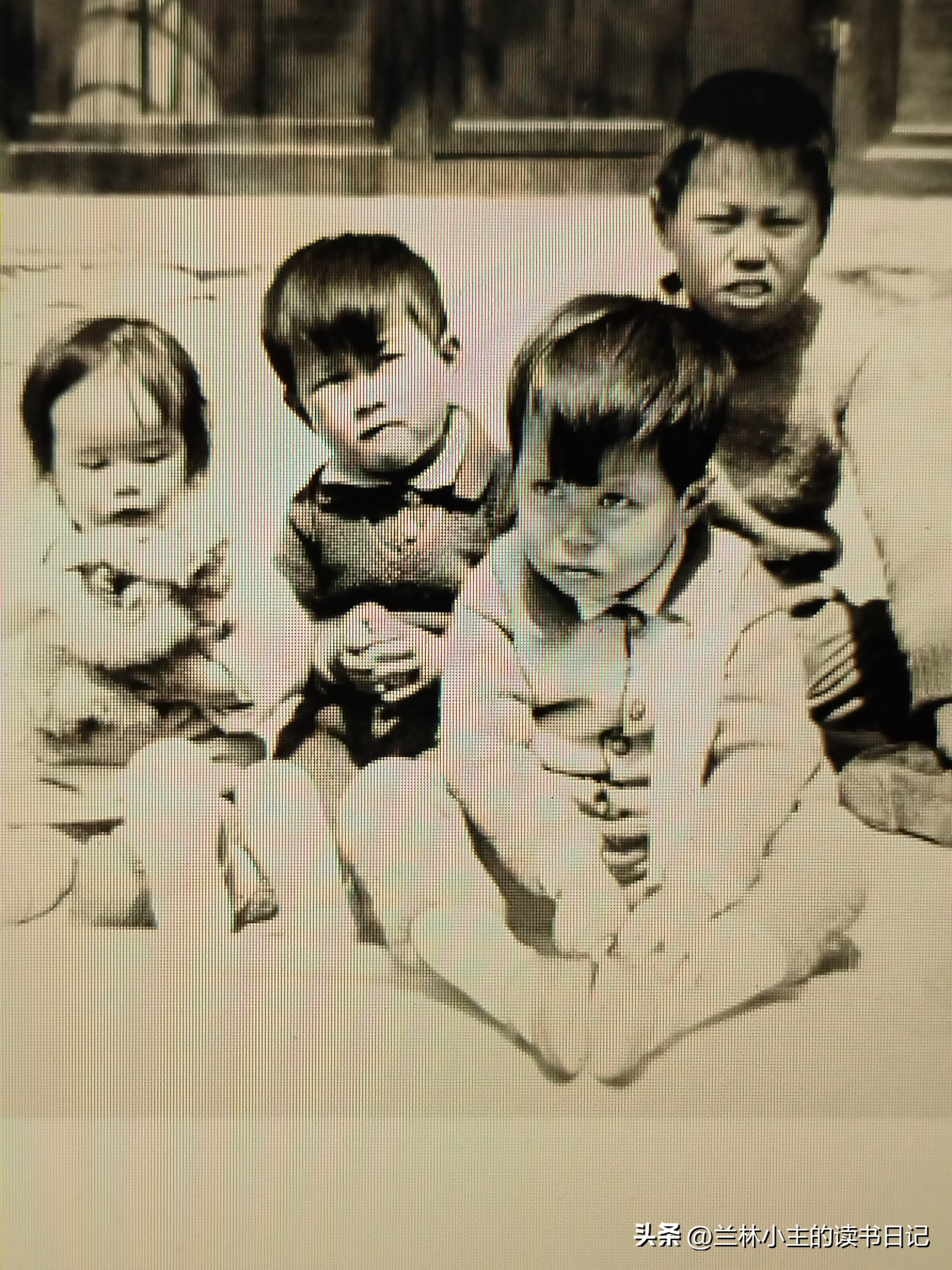 《杨振宁传》：学生们对杨武之恨之入骨，甚至扬言要把杨武之打死