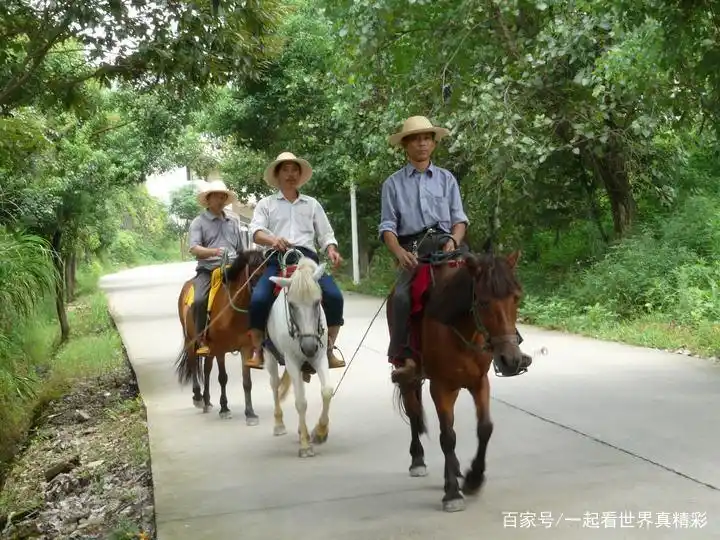 大京水库，株洲市民一处解暑消夏的水世界