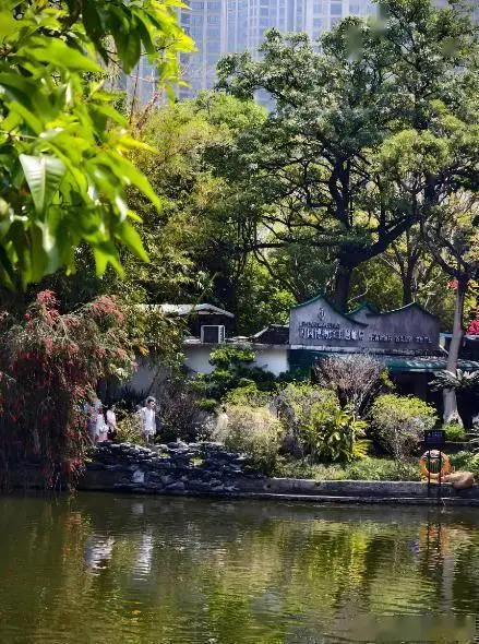 广东东莞旅游必去十大景点，2025东莞最新旅游指南，从森林氧吧到岭南园林，这样玩才不踩坑，推荐收藏