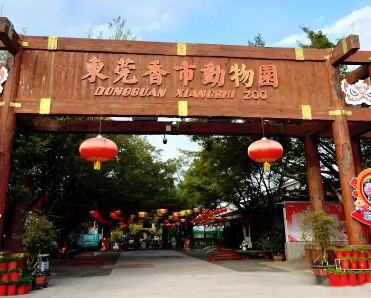 广东东莞旅游必去十大景点，2025东莞最新旅游指南，从森林氧吧到岭南园林，这样玩才不踩坑，推荐收藏