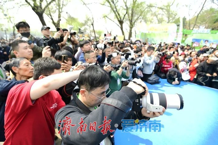 2026“一年四季·泉在济南”主题活动推介暨春游花朝·济南花朝荟在大明湖畔盛大启幕