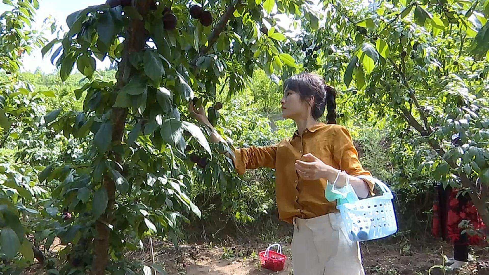 美丽家园·美丽庭院|2022模范乡村示范点——六盘水市海螺村,交通铺就小康路